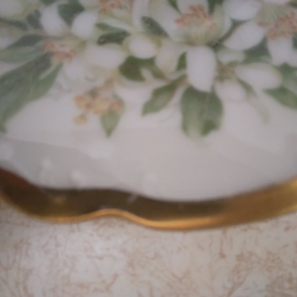 Plate, Vintage, Decorative, Gold Edged, Haviland, Bavaria, Germany - Picture 4 of 6